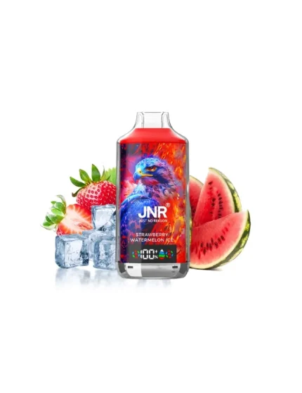 18000 Puff Falcon-X Strawberry Watermelon Ice 20mg - JNR Disposable Vape