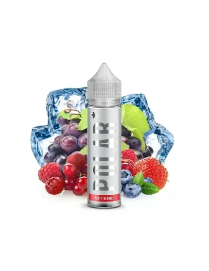 Polar Minty Berries (Prefilled) 60ml 20mg Salt Nicotine 50/50