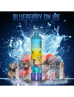 Tornado 15000 puffs Blueberry On Ice 20mg - RandM Disposable Vape